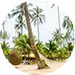 Palm Beach