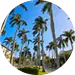 Royal Palm Beach